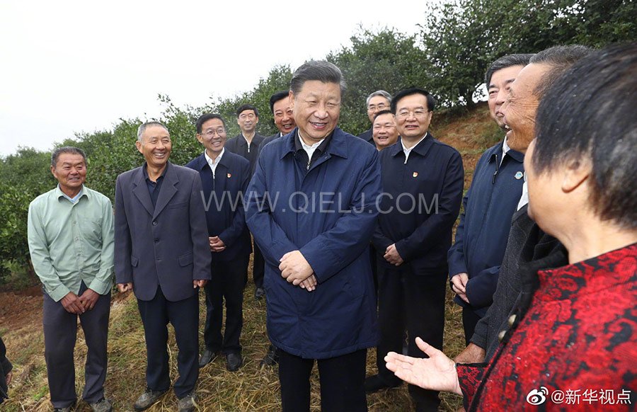 光山油茶籽榨油設備，山茶籽油榨油機廠家(圖2)