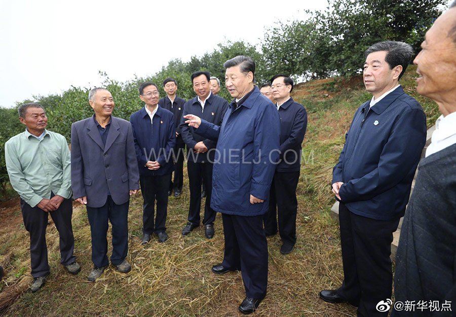 光山油茶籽榨油設備，山茶籽油榨油機廠家(圖3)