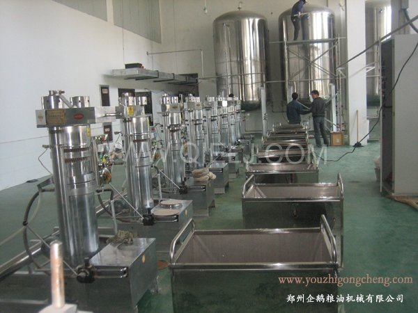 核桃油提取設(shè)備 企鵝牌核桃油設(shè)備 質(zhì)優(yōu)價(jià)好！(圖2)